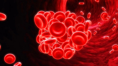 諾貝爾醫(yī)學(xué)獎(jiǎng) 諾貝爾醫(yī)學(xué)獎(jiǎng)